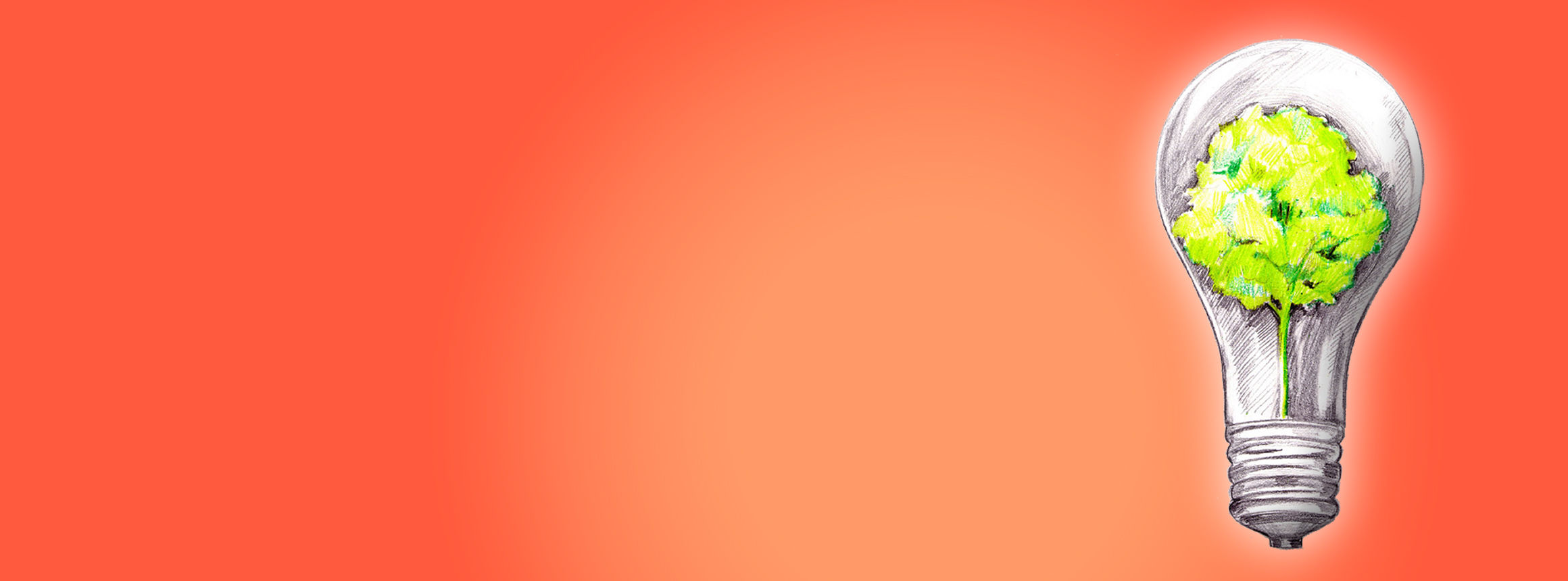 inner_page_image_0-26845614324667966