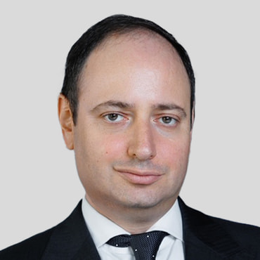Гольдберг Михаил